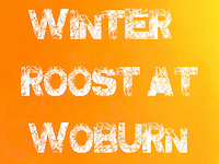 Winter Roost At Woburn