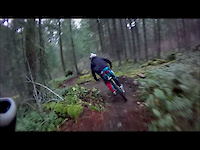 Must Watch Video
