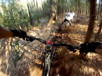 Dump Run