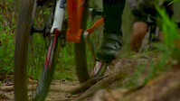 Must Watch Video