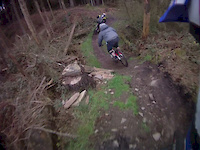 Mac Forest - Top Section