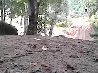 Must Watch Video