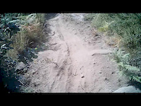 Must Watch Video