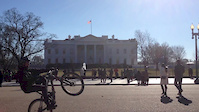 Estayopé in USA
