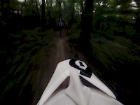 Holiday FreeRide