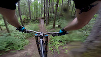 Runaround   top to bottom