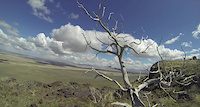 Rediscovery: Cotterel Mountain