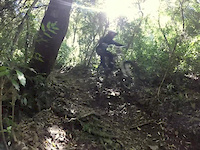 rocks&roots