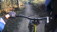 Hürtgenwald - Flowtrail 2015