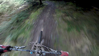 WDMBA Rheola Full Run Head Cam