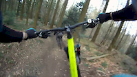 little jumpline in the woods