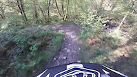 Grizedale Forest. Lawsons Park to Coniston...