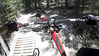 Mammoth with a Gimbal