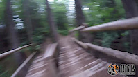 Galbraith Mountain Blue Trails - Bellingham, WA