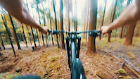 Must Watch Video