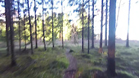 26.10.2016 trip Prestegårsskogen- riding with...