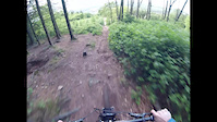 Nacho the downhill dog showing Ady the way...