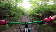 Jefferson Forest