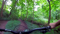 pollok park