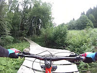 Morning woods -Kranjska Gora - DH