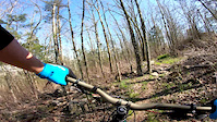 Arthur's Trail
