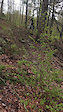 Riding Wilbraham Trail