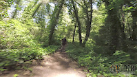 Lower Redwood Highlights