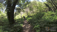 Branciforte Creek Highlights