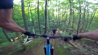 Copeland Forest