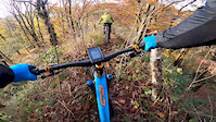 Autumn Trails