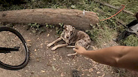 Must Watch Video