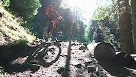 GreenWood - Sublim Ride