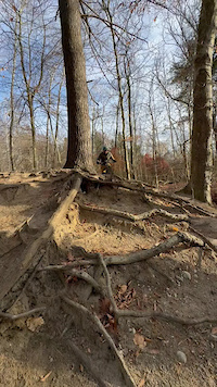 lots of roots at the bottom of Glendon DH