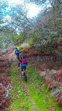 Trails on Madeira Island are not bike-exclusive.