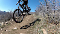 Spring Rippin'
