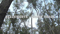 Secret Track | Beechworth