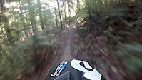 Redwoods Downhill Track + Jump Line
