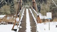 Fresh Tracks 'Superfuzz'