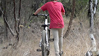 Woodlands Dirt Jumps