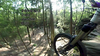 2014-6-3 quick jump in the woods