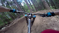 Thrillium (POV) - top