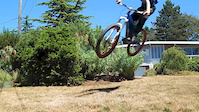 Short trail in my yard