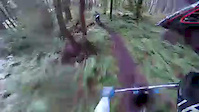 Sweet smooth Singletrack lower 173