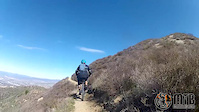 Viper Trail