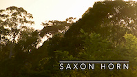Saxon Horn