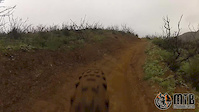 Backbone Trail in Sycamore Canyon