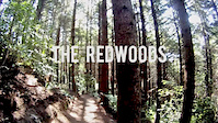 Rotorua Redwoods - Create Breathing Space Trailer