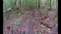 Eagle Trail Descent - Ellicottville Mountain...