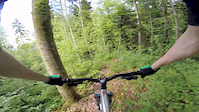 The abandoned trail