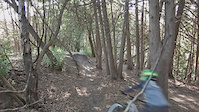Twisty tree section to jump